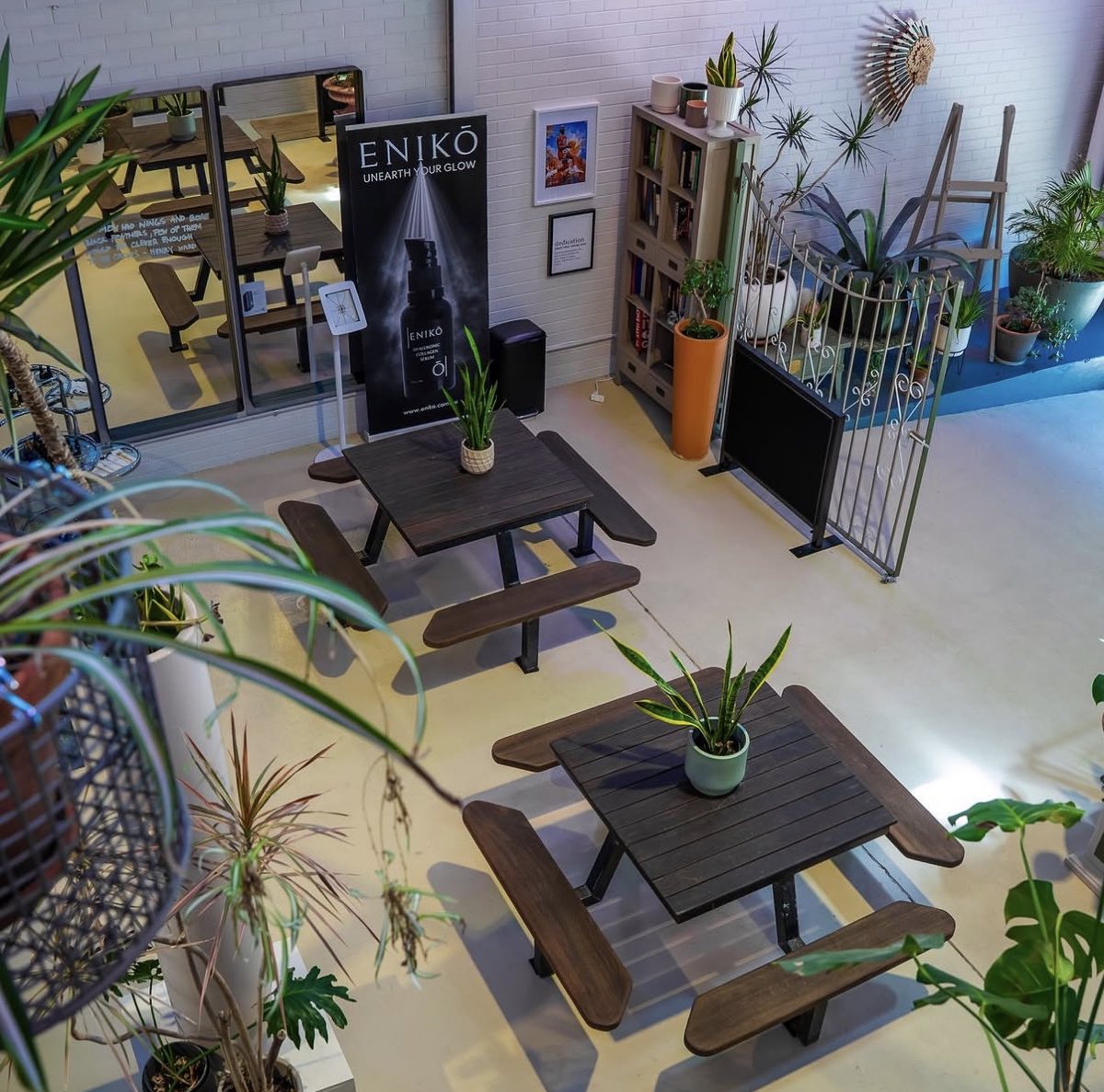 Timber picnic tables and plants in the cafe seating area