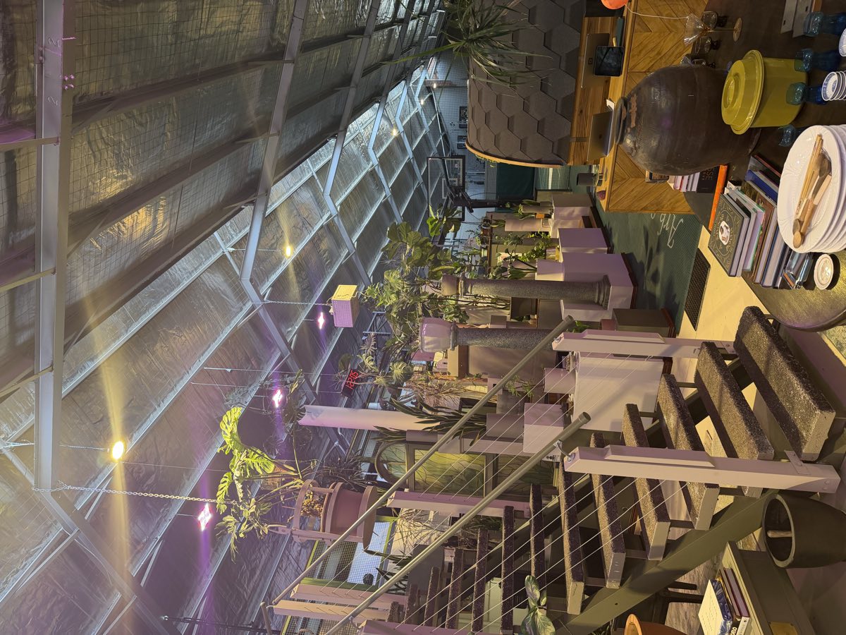 The plant-filled interior of Ark Sports Club, looking towards the stairs