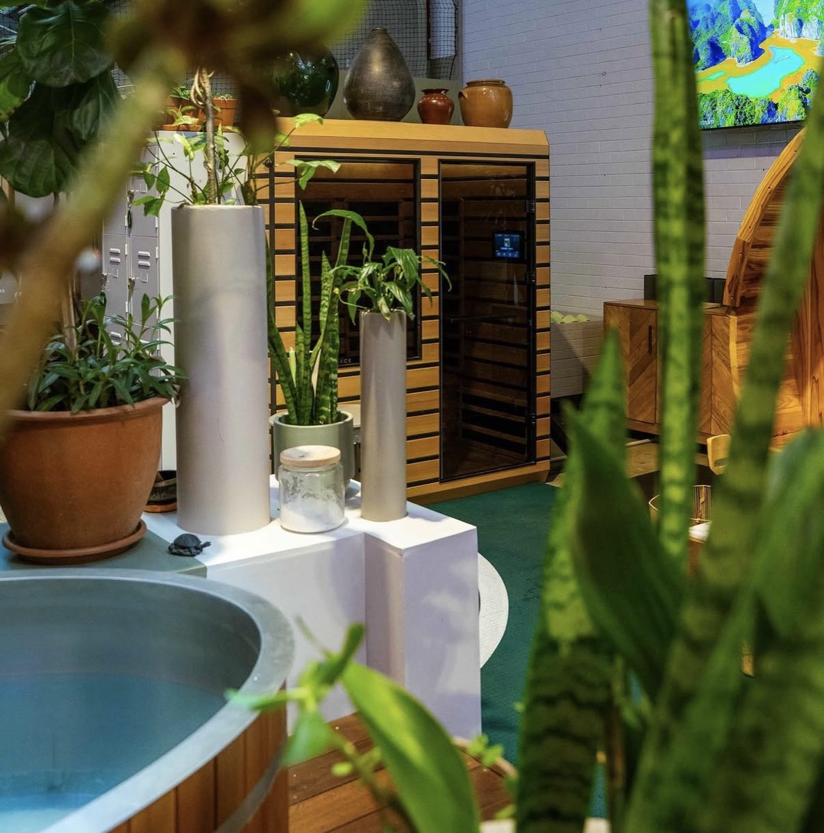 Infrared sauna cabin beside the cold plunge, surrounded by plants
