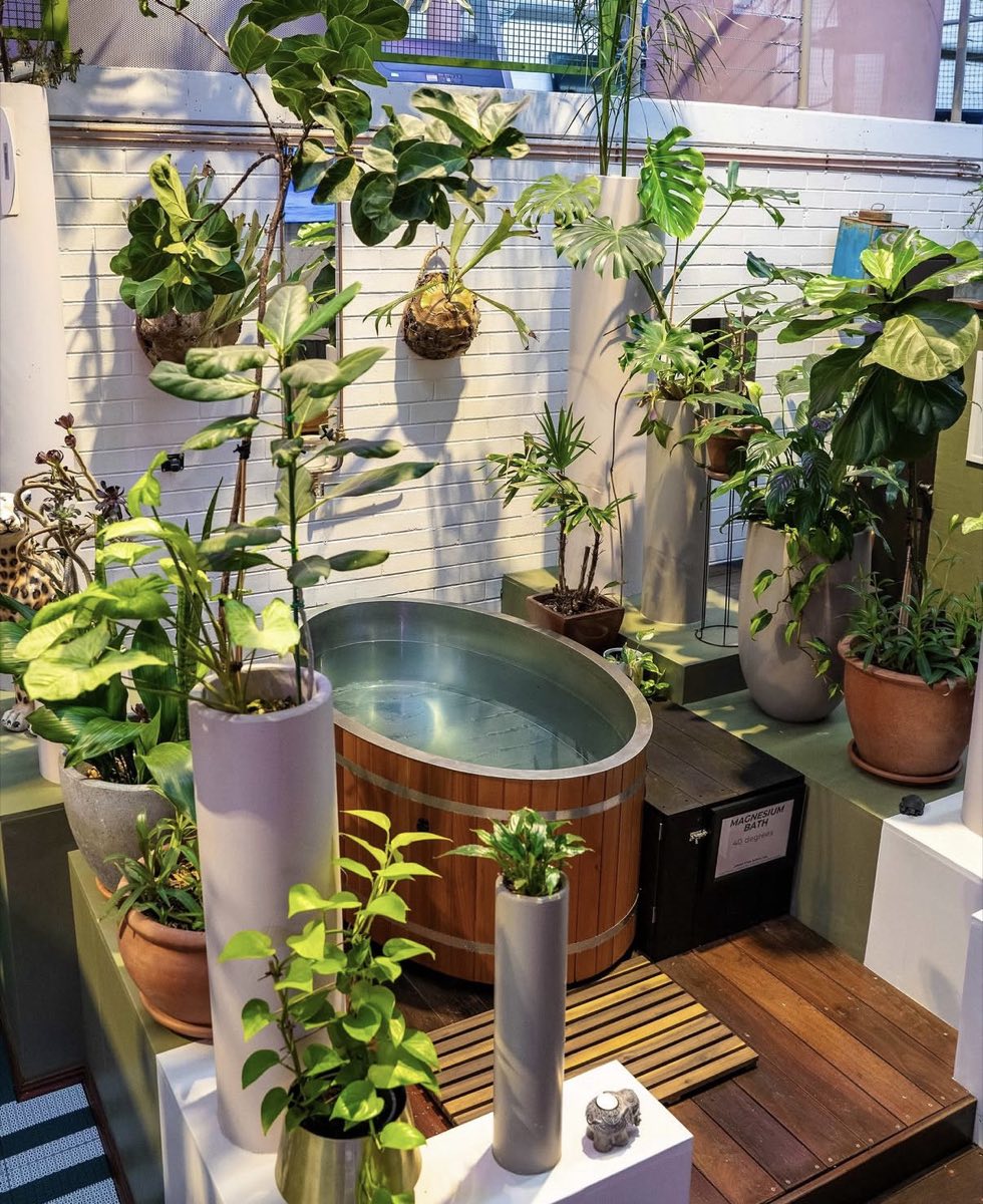 Cedar cold plunge surrounded by plants